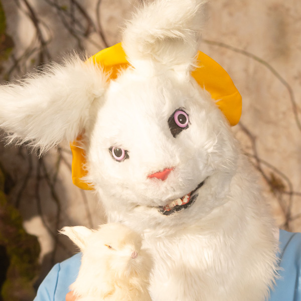 ウサギさん